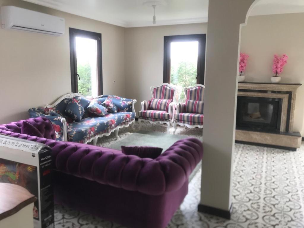 Sapanca Manzara Villa 1 Isitma Havuzlu المظهر الخارجي الصورة