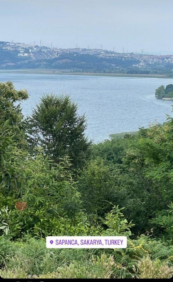 Sapanca Manzara Villa 1 Isitma Havuzlu المظهر الخارجي الصورة