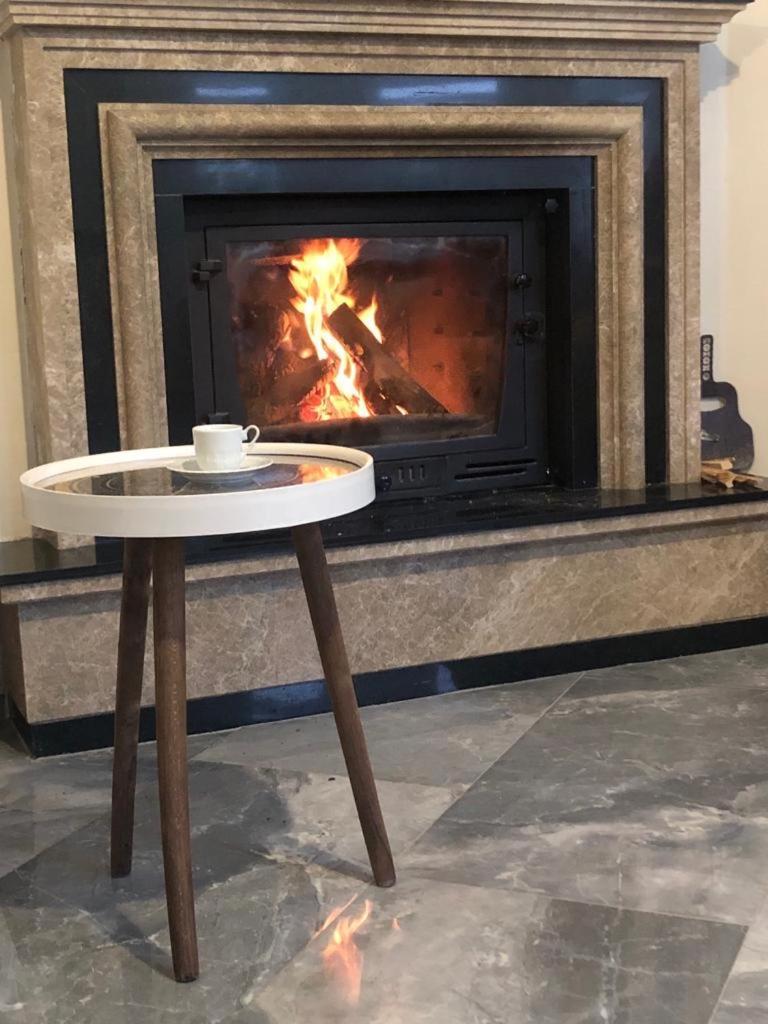 Sapanca Manzara Villa 1 Isitma Havuzlu المظهر الخارجي الصورة